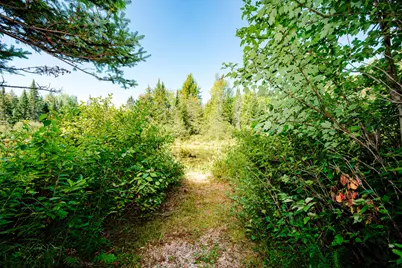 273 Lemon Stream Road, New Portland, ME 04961 - Photo 10