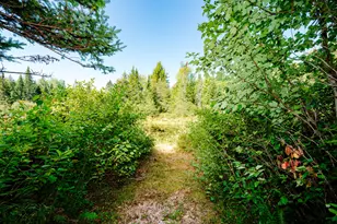 273 Lemon Stream Rd, New Portland, ME 04961 - Photo 10