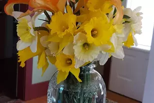 444 W Auburn Rd, Auburn, ME 04210 - Photo 60