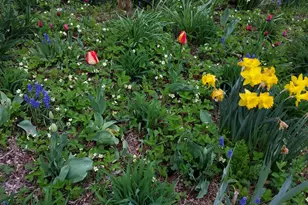 444 W Auburn Rd, Auburn, ME 04210 - Photo 62