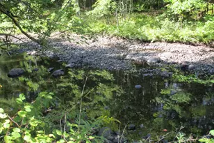 590 W Paris Rd, Greenwood, ME 04255 - Photo 36