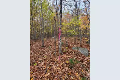 Lot 9 & 10 Moose Ridge Road, Oakfield, ME 04763 - Photo 32