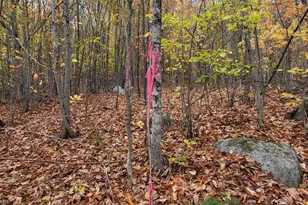 Lot 9 & 10 Moose Ridge Rd, Oakfield, ME 04763 - Photo 32