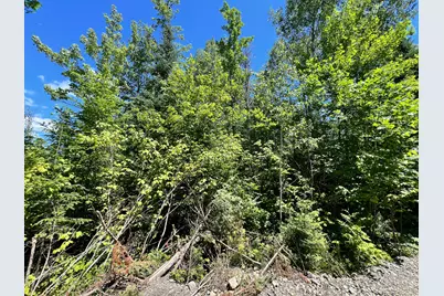 Lot 4 Woodland Ridge Road, Danforth, ME 04424 - Photo 16