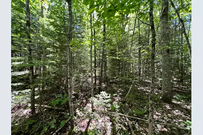 Lot 4 Woodland Ridge Road, Danforth, ME 04424 - Photo 10