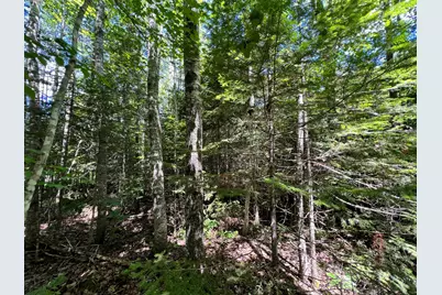 Lot 6 Woodland Ridge Road, Danforth, ME 04424 - Photo 12