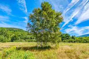 1513 Bear River Rd, Newry, ME 04261 - Photo 72