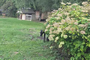 20 Burton St, Hartland, ME 04943 - Photo 10