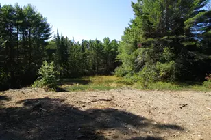 Lot 8A N North Howland Rd, Maxfield, ME 04448 - Photo 10