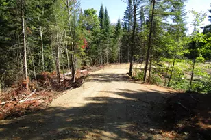 Lot 8A N North Howland Rd, Maxfield, ME 04448 - Photo 6