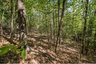 Lot 7 Cobbo Lane, West Gardiner, ME 04345 - Photo 6