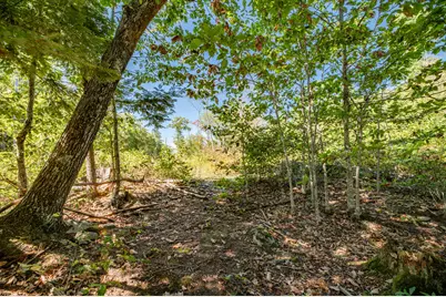 Lot 7 Cobbo Lane, West Gardiner, ME 04345 - Photo 12