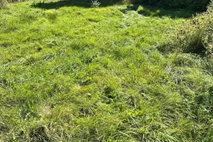 16 Forgotten Alley Dr, Waterford, ME 04088 - Photo 44