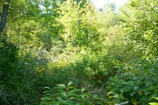 441 S Reynolds Rd Rd, Winslow, ME 04901 - Photo 6