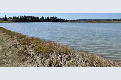 P/O Lot 78 Wescogus Road, Addison, ME 04606 - Photo 4