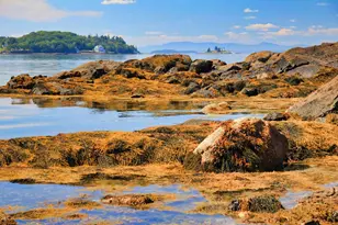 435 Herrick Rd, Brooksville, ME 04617 - Photo 8