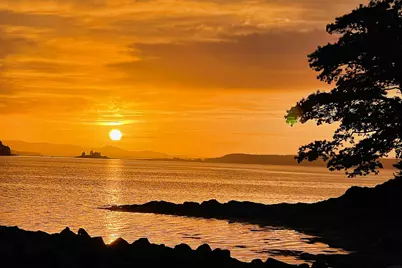 435 Herrick Road, Brooksville, ME 04617 - Photo 42