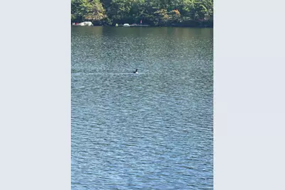 57 Oak Shore Road, Harrison, ME 04040 - Photo 58