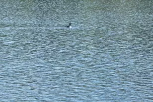 57 Oak Shore Rd, Harrison, ME 04040 - Photo 58