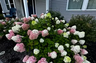 1420 Bucksmills Rd, Bucksport, ME 04416 - Photo 56