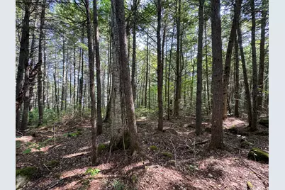 P/O M29L23 Bluff Road, Enfield, ME 04493 - Photo 16