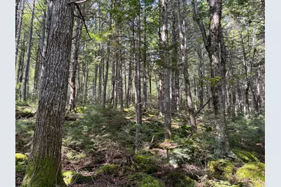 P/O M29L23 Bluff Road, Enfield, ME 04493 - Photo 20