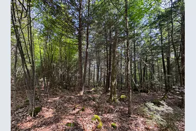 P/O M29L23 Bluff Road, Enfield, ME 04493 - Photo 14