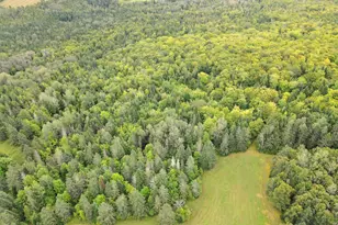 155 Rista Rd, New Sweden, ME 04762 - Photo 30