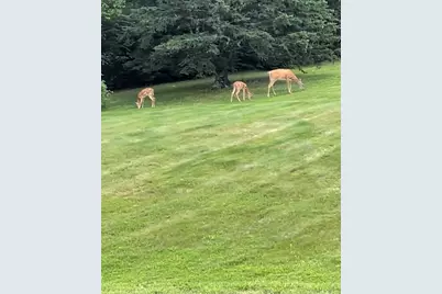 155 Rista Road, New Sweden, ME 04762 - Photo 38