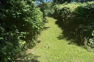 171 Park St, Livermore Falls, ME 04254 - Photo 24