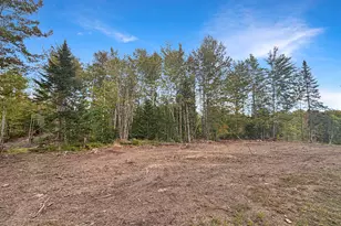 Lot 10 West Rd, Sangerville, ME 04479 - Photo 18