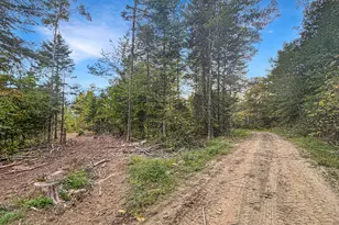 Lot 10 West Rd, Sangerville, ME 04479 - Photo 14