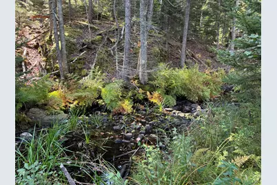 0 Main Road, Phippsburg, ME 04565 - Photo 4