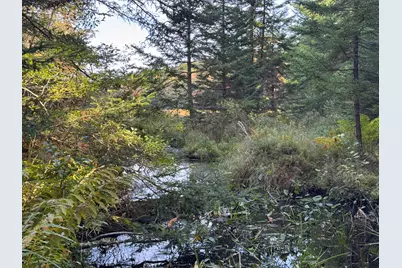 0 Main Road, Phippsburg, ME 04565 - Photo 6