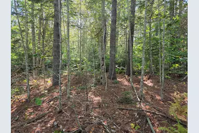 00 Back Searsport Road, Belfast, ME 04915 - Photo 4