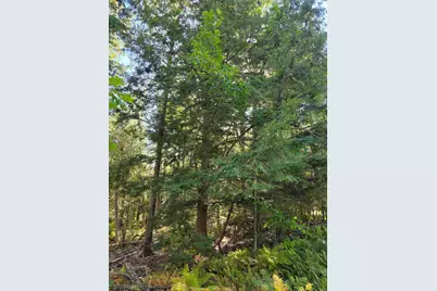 00 Back Searsport Road, Belfast, ME 04915 - Photo 2