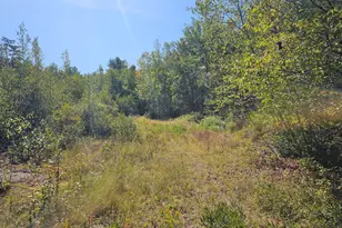 M 3 L 9 Off Eastern Ridge Rd, Northfield, ME 04654 - Photo 1