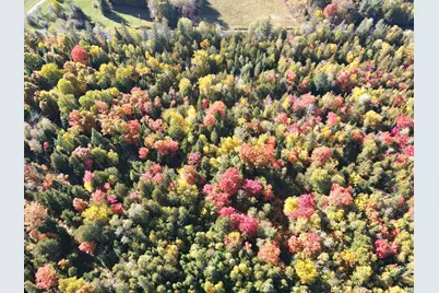 Lot 97A New Sweden Road, New Sweden, ME 04762 - Photo 10