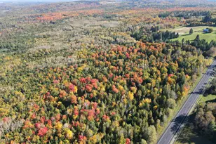 Lot 97A New Sweden Rd, New Sweden, ME 04762 - Photo 12