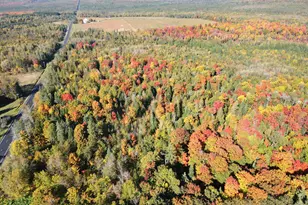 Lot 97A New Sweden Rd, New Sweden, ME 04762 - Photo 6