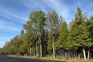 Lot 97A New Sweden Rd, New Sweden, ME 04762 - Photo 26