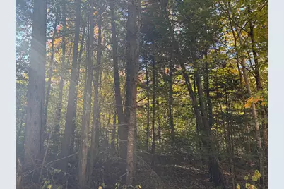 Lot 23/24 Coombs Road, Newry, ME 04261 - Photo 10