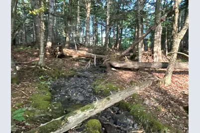 M4L14 Village Road, Jackson, ME 04921 - Photo 36