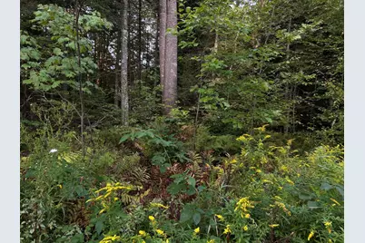 M4L14 Village Road, Jackson, ME 04921 - Photo 2