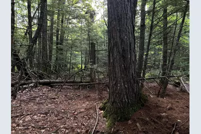 M4L14 Village Road, Jackson, ME 04921 - Photo 30