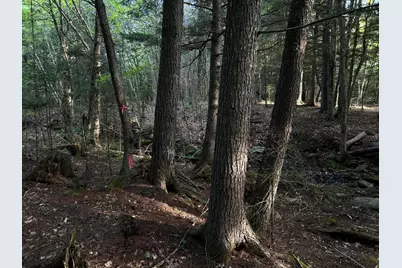 M4L14 Village Road, Jackson, ME 04921 - Photo 14