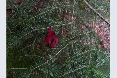 M4L14 Village Road, Jackson, ME 04921 - Photo 28