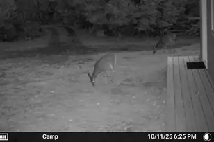 846 Notch Rd, Skowhegan, ME 04976 - Photo 52