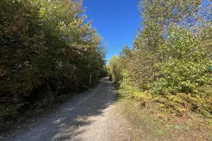 Map 201 Lot 101-4 Off Tremblay Rd, Dexter, ME 04930 - Photo 14