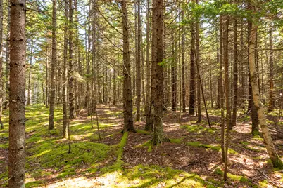 Lot 11 Nahanada Road, Bristol, ME 04539 - Photo 6